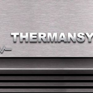 Logo Themansys