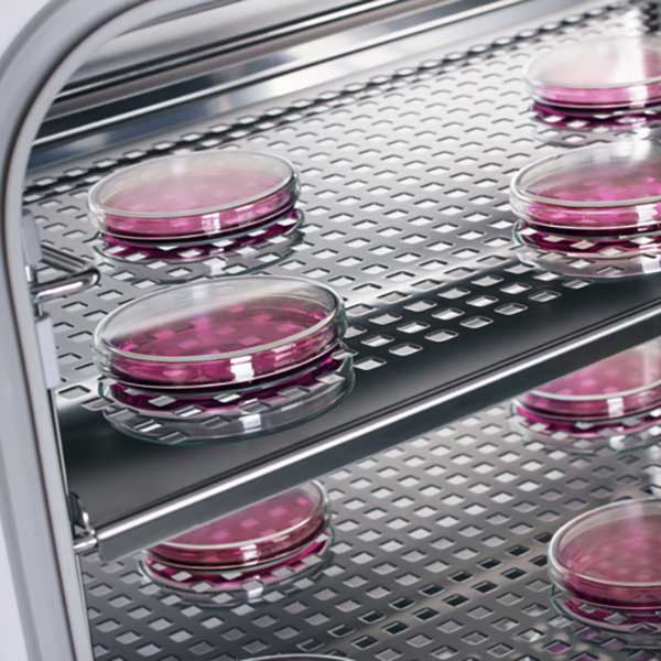 co2-incubator-binnen-interieur co2-incubator-binnen-interieur